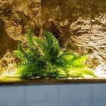 Appartement Casa Pina Family Vernazza